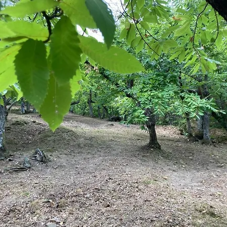 La Casina Del Prete Prázdninový dům