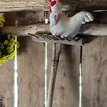 La Casina Del Prete *