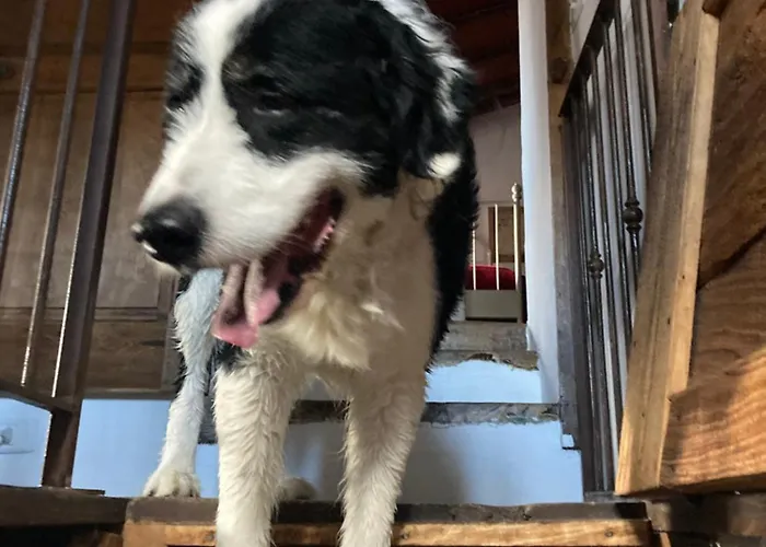 Дом отдыха La Casina Del Prete