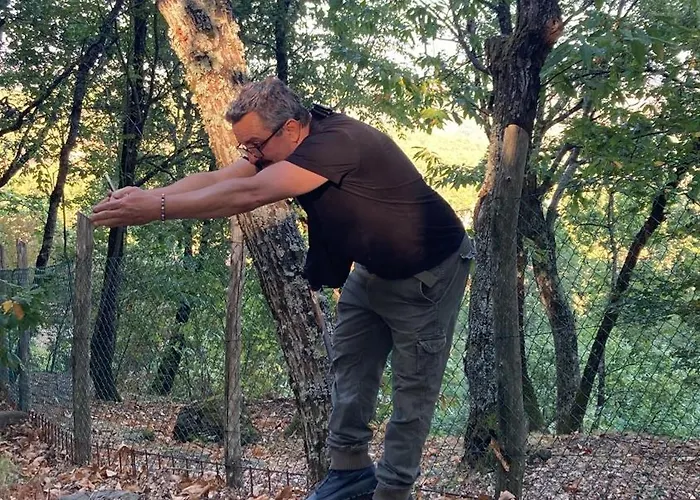 La Casina Del Prete Дом отдыха Caprese Michelangelo